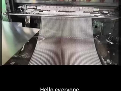 15 মিমি Swm X 30 মিমি Lwm স্টিল এক্সপ্যান্ডেড মেটাল শীট অনন্য ডিজাইনের জন্য